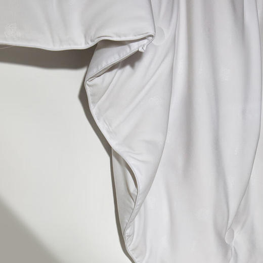 【分仓直发包邮】KENZO虎头压花蚕丝被KCS-001 商品图3