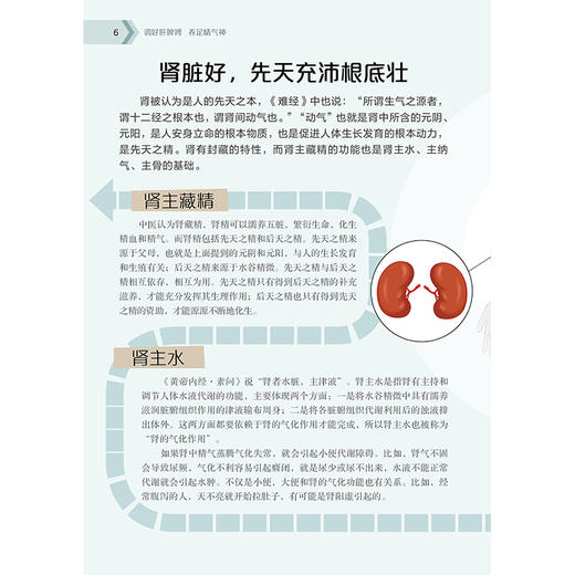 调好肝脾肾 养足精气神 商品图3