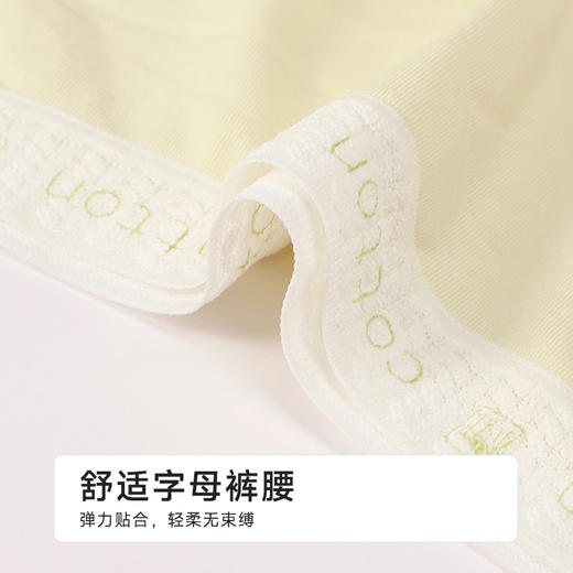 都市丽人舒肤棉纯棉系列棉茶平角裤LKH5B4 商品图5