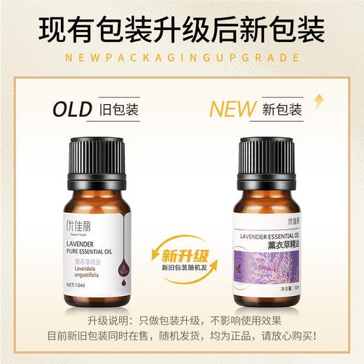 薰衣草精油单方精油 10ml 商品图1