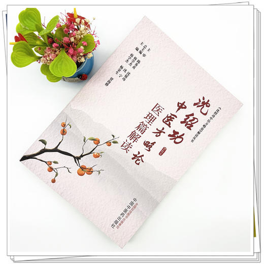 沈绍功中医方略论医理篇解读  韩学杰 杨金生 贾海骅 主编 中国中医药出版社 《沈绍功中医方略论》解读丛书 商品图1