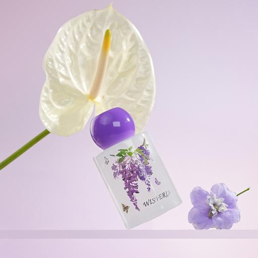 紫藤春予 香薰套装 商品图2