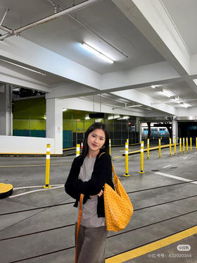 戈雅Hobo 黄色（原厂皮）