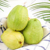 新鲜水果 番石榴红心芭乐 1枚 商品缩略图3