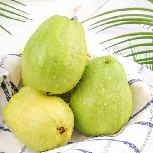 新鲜水果 番石榴红心芭乐 1枚 商品图3