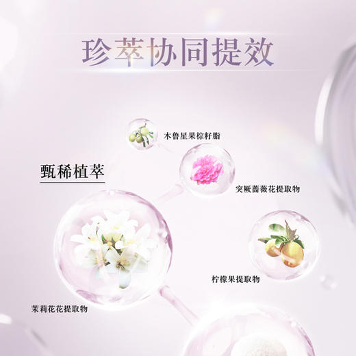 【跨境】CosmeDecorte黛珂 调光师散粉20g/盒 #00 透光型 #101 柔光型（效期27年） 商品图7