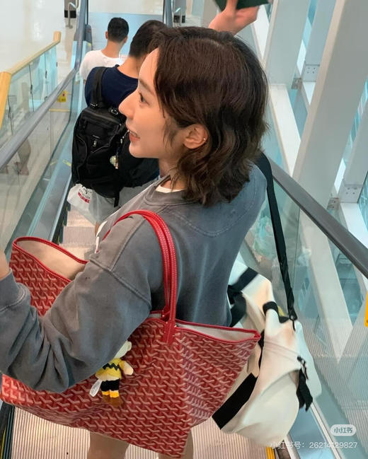 goyard戈雅红色（原厂皮） 商品图0