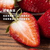  企鹅市集|四川大凉山黑美人 / 隋珠草莓 / 草莓盲盒 香气饱满 甜蜜新鲜 商品缩略图6