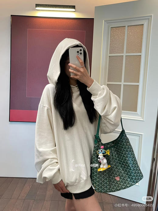 戈雅Hobo 绿色（原厂皮） 商品图2