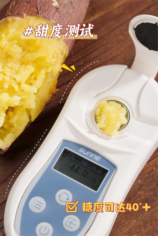 【老爸的梦想】生态榴莲蜜薯（日本西露库） 商品图3