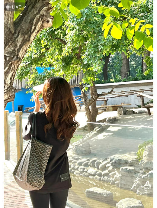 goyard戈雅黑色（原厂皮） 商品图0