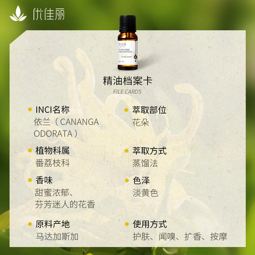 依兰精油单方精油 10ml 商品图1