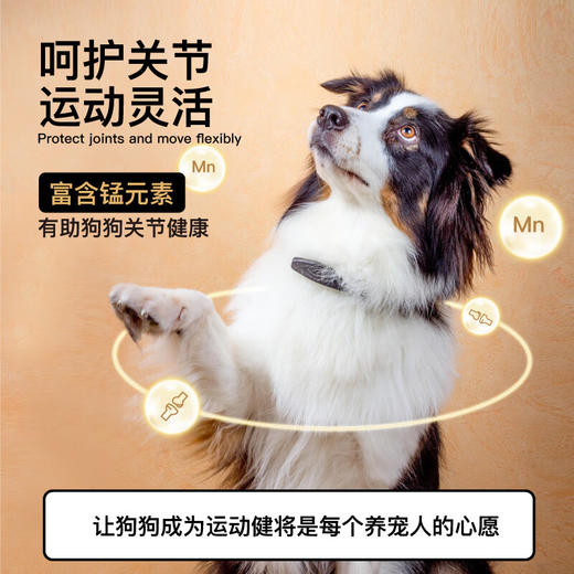 灵宠物语宠物主粮全价全阶段鸡肉配方狗粮10kg 商品图4