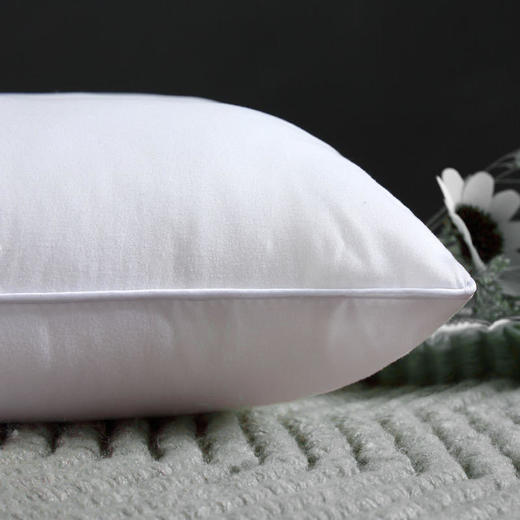 【多样屋专柜】雅鹿 决明子磁疗明目枕 白色 30*50cm 商品图3