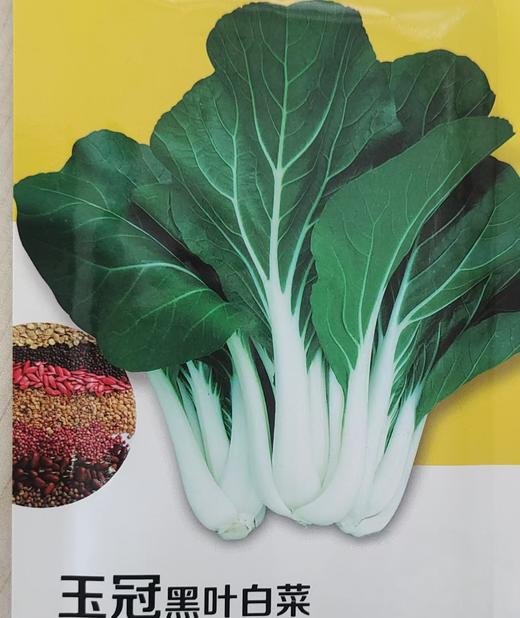 生态小白菜 | 根脆叶韧 |石嫣农场 * Eco-friendly Chinese Cabbage 商品图3