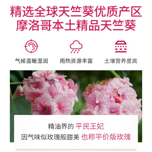 天竺葵精油单方精油 10ml 商品图1