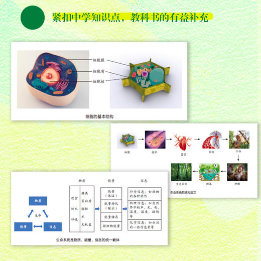 生物是什么：**能看懂的生物学底层思维书 人大附中*教师 清华大学 博士和渊写 紧扣中学知识要点   商品图2