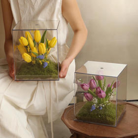 《梦境花园》10枝郁金香亚克力透视花盒，下单请备注颜色