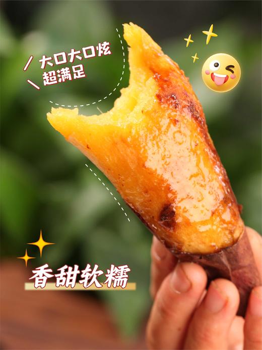 【老爸的梦想】生态榴莲蜜薯（日本西露库） 商品图2