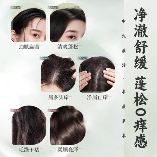 自然而然草本植物丰盈系列洗头原浆 | 升级版，去屑止痒、蓬松控油、防断舒缓、顺滑滋润 商品图2