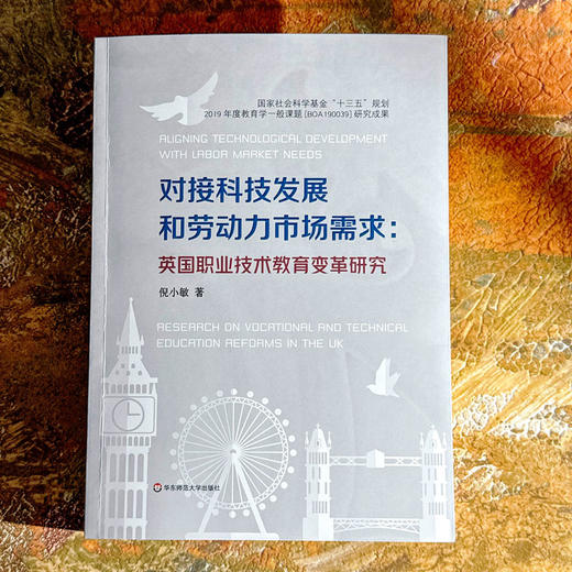 对接科技发展和劳动力市场需求 英国职业技术教育变革研究 商品图1