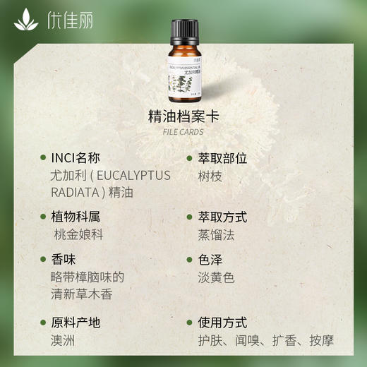 尤加利精油单方精油 10ml 商品图3