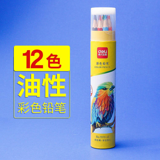 【Deli/得力文具！7070彩色儿童铅笔】色彩斑斓，细腻柔滑，小手握持宛如游龙般舒适，让孩子畅游画海，想象无限，梦想绽放，安全呵护，轻松愉快，妈妈放心选择！ 商品图5