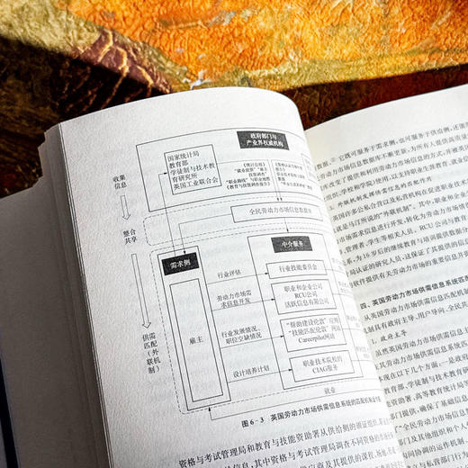 对接科技发展和劳动力市场需求 英国职业技术教育变革研究 商品图13