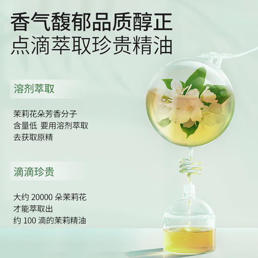 茉莉精油单方精油 10ml 商品图1