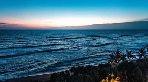 斯里兰卡“鲸出没”丨狮子岩、康提佛牙寺、锡兰茶园、高跷渔夫、加勒古堡、尼甘布鱼市场8天休闲摄影团 商品图2