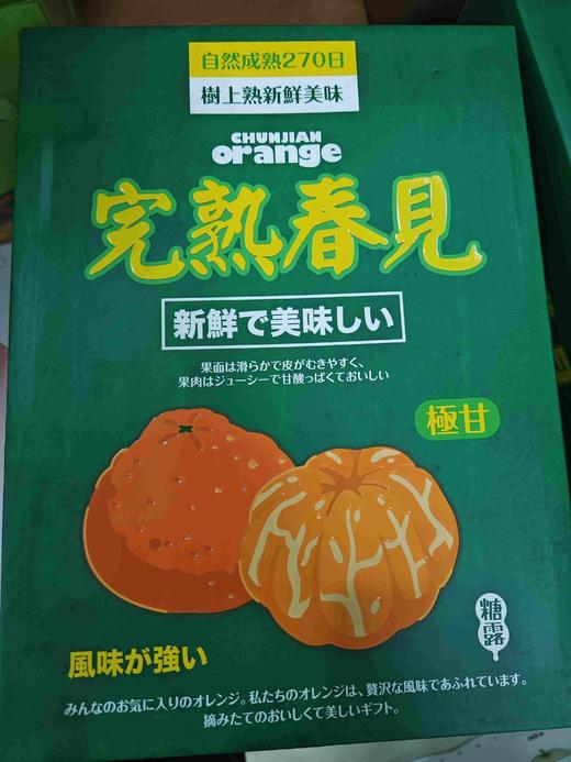 蜜露完熟爆浆春见 商品图0