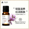 天竺葵精油单方精油 10ml 商品缩略图0