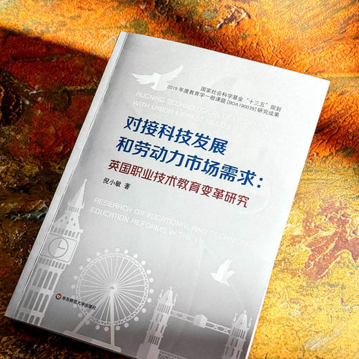 对接科技发展和劳动力市场需求 英国职业技术教育变革研究 商品图4
