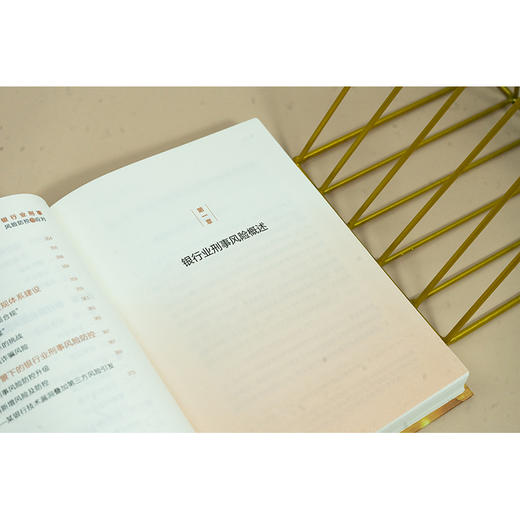 银行业刑事风险防控与应对 刘立杰 印波等著 法律出版社 商品图3