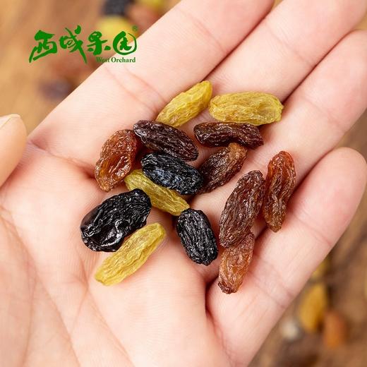 西域果园·打包新疆特色干坚果礼盒1750g  送礼首选 商品图2