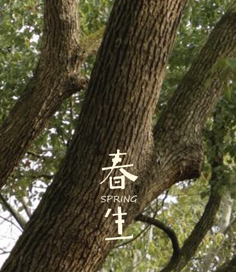 「春生」养肝套装·微信商城限定小礼