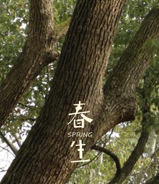 「春生」养肝套装·微信商城限定小礼 商品图0