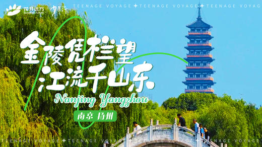 金陵凭栏望，江流千山东——南京、扬州 商品图0