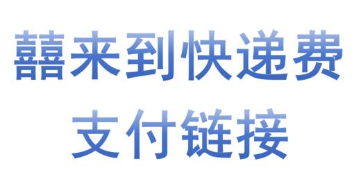 囍来到快递费支付链接--不发货 商品图0