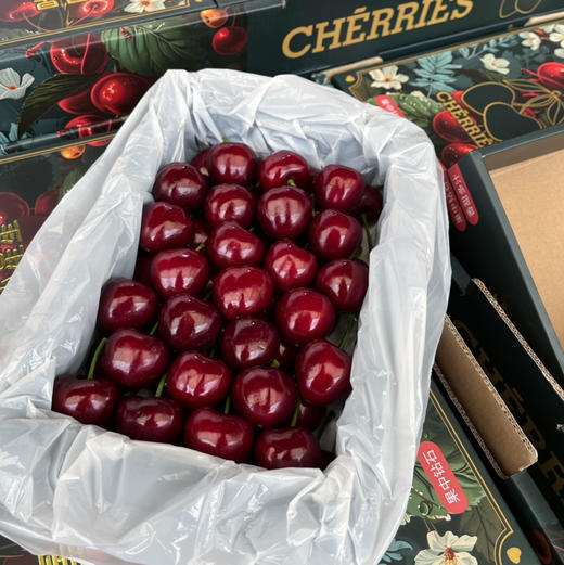 【小星星美早樱桃】小苹果般的大小，脆甜多汁，炒鸡过瘾 商品图2