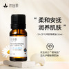 罗马洋甘菊油单方精油10ml 商品缩略图0