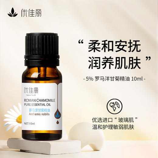 罗马洋甘菊油单方精油10ml 商品图0