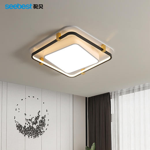 墨影系列卧室灯(智能离线语音控制)（长方停产） 商品图3