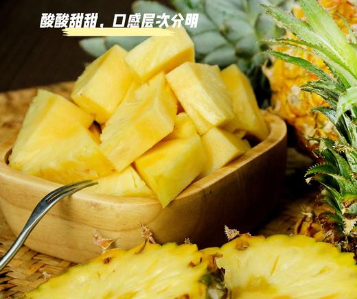 【分仓直发包邮】云南河口香水菠萝中果3斤（约3个，中果单果：400-650克）（赠品：菠萝夹1个） 商品图1