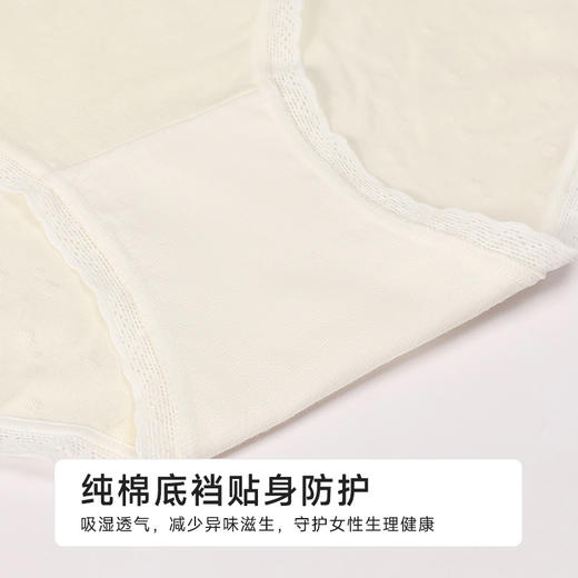 都市丽人舒肤棉纯棉系列RC提花平角裤LKH5I5 商品图7