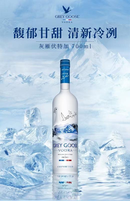 灰雁伏特加 700mL 商品图2