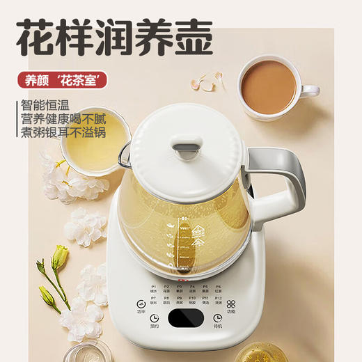 【分仓直发包邮】小句养生壶1.7L  XJS08 商品图1