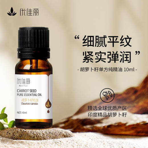 胡萝卜籽精油单方精油 10ml 商品图0
