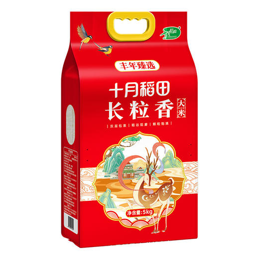 【自营】 十月稻田 丰年臻选东北黑土地长粒香米 5kg 商品图2