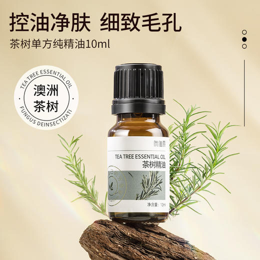茶树精油单方精油 10ml 商品图0